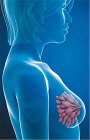 Entzundete Brust Da Ist Krebsausschluss Notig