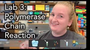 PCR: Prepare the PCR Cocktail