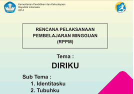 Membaca dan memahami bacaan, menulis, dan bekerja sama. Rppm Tk Paud Usia 5 6 Tahun Kurikulum 2013 Tema Diriku Administrasi Tk Paud