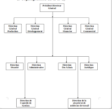 tikz trees please how can i create this organization chart