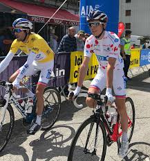 Les dauphins sont parmi les créatures les plus intelligentes connues de l'homme. Tour De L Ain 2017 Wikipedia