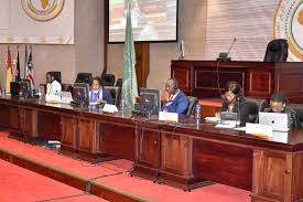 Democracy And Civic Engagement Unit Represents Centre For Human Rights At Pap Joint Workshop Of Committees On Silencing The Guns Centre For Human Rights