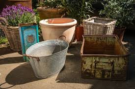 Mediterrane Pflanzen Fur Die Terrasse Der Kleine Horrorgarten Mediterrane Pflanzen Pflanzen Mediterran