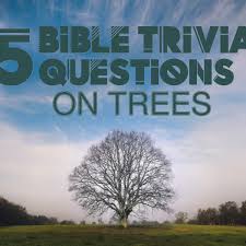 Here are 20 bible questions. 25 Bible Trivia Questions On Trees Letterpile