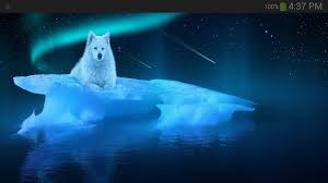 I'm a new wolf on tumblr ! Fantasy Wolf Wallpaper Apk 1 2 Download For Android Download Fantasy Wolf Wallpaper Apk Latest Version Apkfab Com