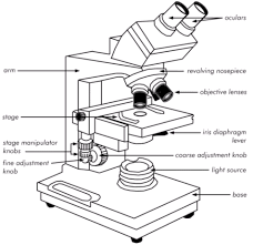What Are The Parts Of The Brightfield Microscope Prelab 3 8 Microscopic Science And Nature Contemporary Fantasy
