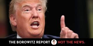 Lindsay C. Messenger (@LCMessenger)