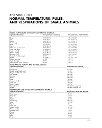 Pets Temperature Vet Medicine Veterinarian Technician Veterinary