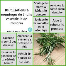 Epingle Sur Huiles Essentielles