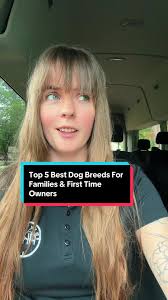 Top 5 Best Dog Breeds for Families & First-Time Owners