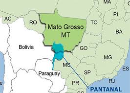 Pantanal: o que é, onde fica, clima e características - Significados