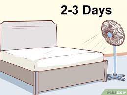 How To Get Cat Urine Out Of A Mattress (With Pictures) - Wikihow