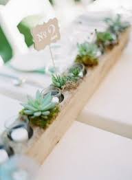 El envío gratis está sujeto al peso, precio y la distancia del envío. Centros De Mesa Y Arreglos Con Cactus Y Suculentas Tendencia Actual