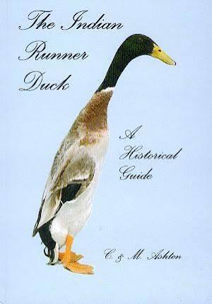 Indian Runner Duck Book - facts on theIndian Runner