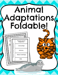 Great Editable Classroom Materials Teachersherpa Adaptations Activities Animal Adaptations Writing Animal Adaptations