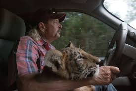 President trump please pardon joe exotic. Will Trump Pardon Tiger King Joe Exotic He D Consider It Los Angeles Times