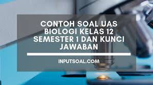 Soal uas biologi kelas 10 semester 1 kurikulum 2013. Contoh Soal Uas Biologi Kelas 12 Semester 1 Dan Kunci Jawaban Inputsoal Com