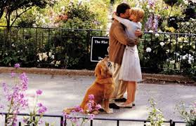 You've got mail (1998) starring: 28 Movies About Relationships For Every Love Situation Glamour