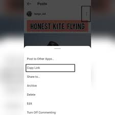 Open a video on instagram and copy its link. How To Download Instagram Videos On Phone And Pc Techlatest