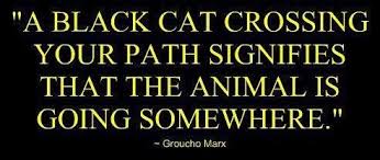 The great thing about movie quotes for film geeks like myself, is that whenever the moment presents itself we can always bust out a movie quote to throw into a conversation f Black Cat Bad Luck Quotes