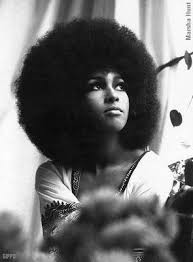 Fro History Natural Hair Styles Black Is Beautiful 70s Hair