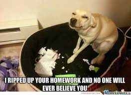 Monrovia Animal Medical Center No One Will Ever Believe You Dog Meme Funny Facebook