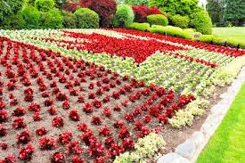 Its original design was unveiled on 4 april 1990 at the third session of the seventh national people's congress. Red And White Flowers Planted In A Canadian Flag Theme In A Flower Bed At A Park Stock Photo Picture And Royalty Free Image Image 61306000