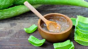 7 tips for how to make aloe vera gel at ...