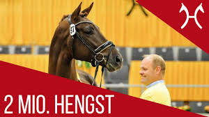 Maybe you would like to learn more about one of these? 2 01 Millionen Hengst Preisspitze Vivaldi X Dancier Hannoveraner Hengstmarkt 2018 Youtube