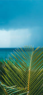 Personalize your homescreen with amazing. Bahamas Iphonewallpaper 1125x2436 Wallpaper Teahub Io