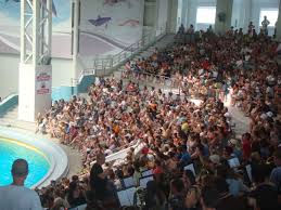 Foto Delfinii De La Delfinariul Din ConstanÅ£a Au Dat ReprezentaÅ£ii Pe Acorduri Simfonice