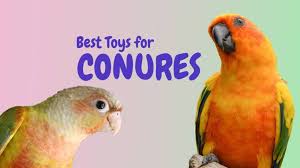 Maybe you would like to learn more about one of these? Bird Safe Food And Plants Queenslander Aviaries