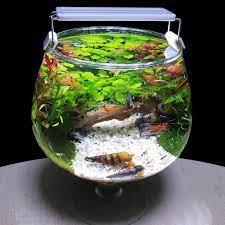 The aquarium looks just like television but is actually a fish tank! Diy Aquarium Fish Tank Ideas Mr Decor Home Facebook
