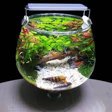 We did not find results for: Diy Aquarium Fish Tank Ideas Mr Decor Home Facebook