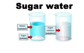 Homogeneous Heterogeneous Mixtures Salt Sugar Solution: Vector Có Sẵn (Miễn  Phí Bản Quyền) 1874134567 | Shutterstock