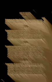 The Steen family in Europe and America : a genealogical, historical and  biographical record of nearly three hundred years, exten