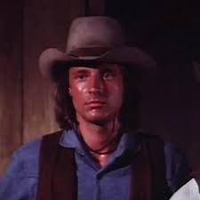 Bruce boxleitner is an american actor who has a net worth of $3 million dollars. Bruce Boxleitner Western Series Wiki Fandom