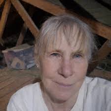 What low waste pigeon food can be bought in bulk?