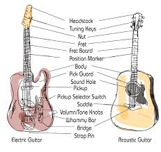 Check spelling or type a new query. Beginner Guitar Lesson 1 Familiarize Yourself With The Guitar 8notes Com