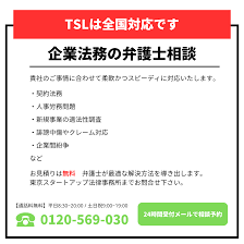 不正アクセス禁止法とは？規制対象となる行為・改正の概要・違反事例も解説 | TSL MAGAZINE