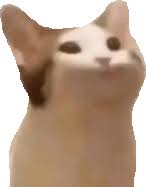 Browse thousands of pepe emojis with different expressions such as pepesip, peperun and more. Cat Meme Gifs Tenor