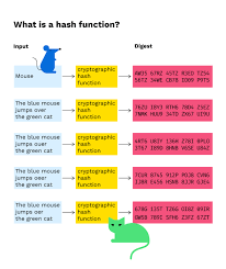 Transactions are the most important aspect of the bitcoin network. What Is A Hash Function In A Blockchain Transaction Bitpanda Academy