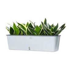 The dura cotta rectangular window box planter by bloem is rectangular in shape and allows excessive water to drain. Bxgv2fh Ten Stone 17 Inch Rectangular Self Watering Planter Indoor Windowsill Herb Planter Box Outdoor Flower Pot Succulent Planter