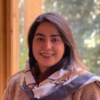 200+ perfiles de «Bamdad»