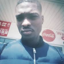 How did cheetahs evolve to be fast if lions are successful without speed?