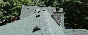 Serving homeowners, commercial properties, government agencies & contractors in the washington dc. Man And Husky Roofing James Rivera Roofing And Repairs