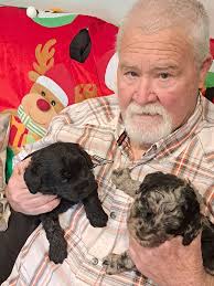 Fleurieu Oodles and Groodles