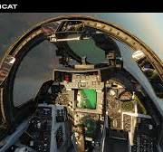 DCS: F-14 Tomcat