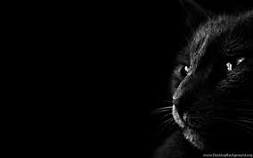 Best hd wallpapers of dark, desktop backgrounds for pc & mac, laptop, tablet, mobile phone. Dark Wallpapers Hd Wallpaper Download Xpx Hd Wallpaper Dark Wallpapers For Mobile 1080p Android Laptop Windows 7 Mac 1366x768 Iphone Nature Jpg Desktop Background