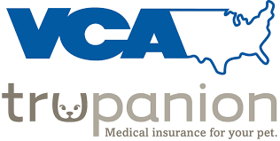 .4,181 подписок, 1,872 публикаций — посмотрите в instagram фото и видео vca (@vca). Vca Hospitals To Promote Trupanion Insurance